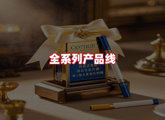 专业团队